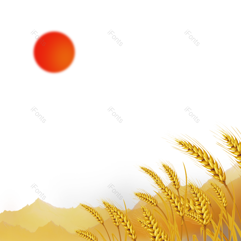 芒种图片,小满元素,秋天PNG,丰收免抠素材